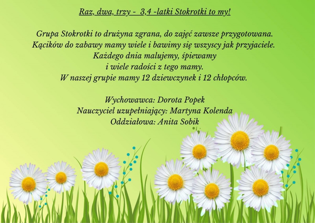 Obrazek przedstawia kwiatki stokrotki oraz opis grupy, która nazywa się stokrotki. Jest to grupa 4-latków. 