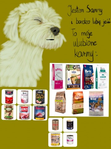 Zdjęcie przedstawia ulotkę przedstawiającą zbiórkę karmy dla zwierząt w ramach wolontariatu.