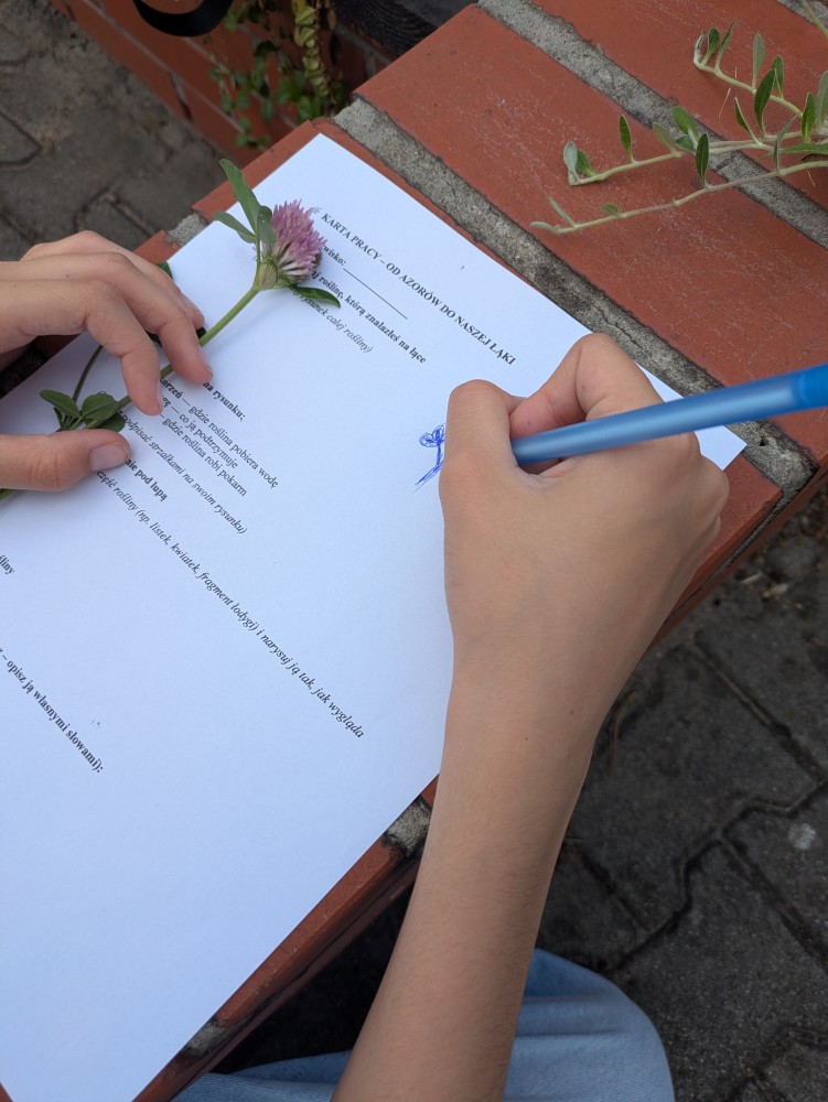 Innowacja pedagogiczna inspirowana przyrodą Azorów. Zajęcia outdorowe uczniów.